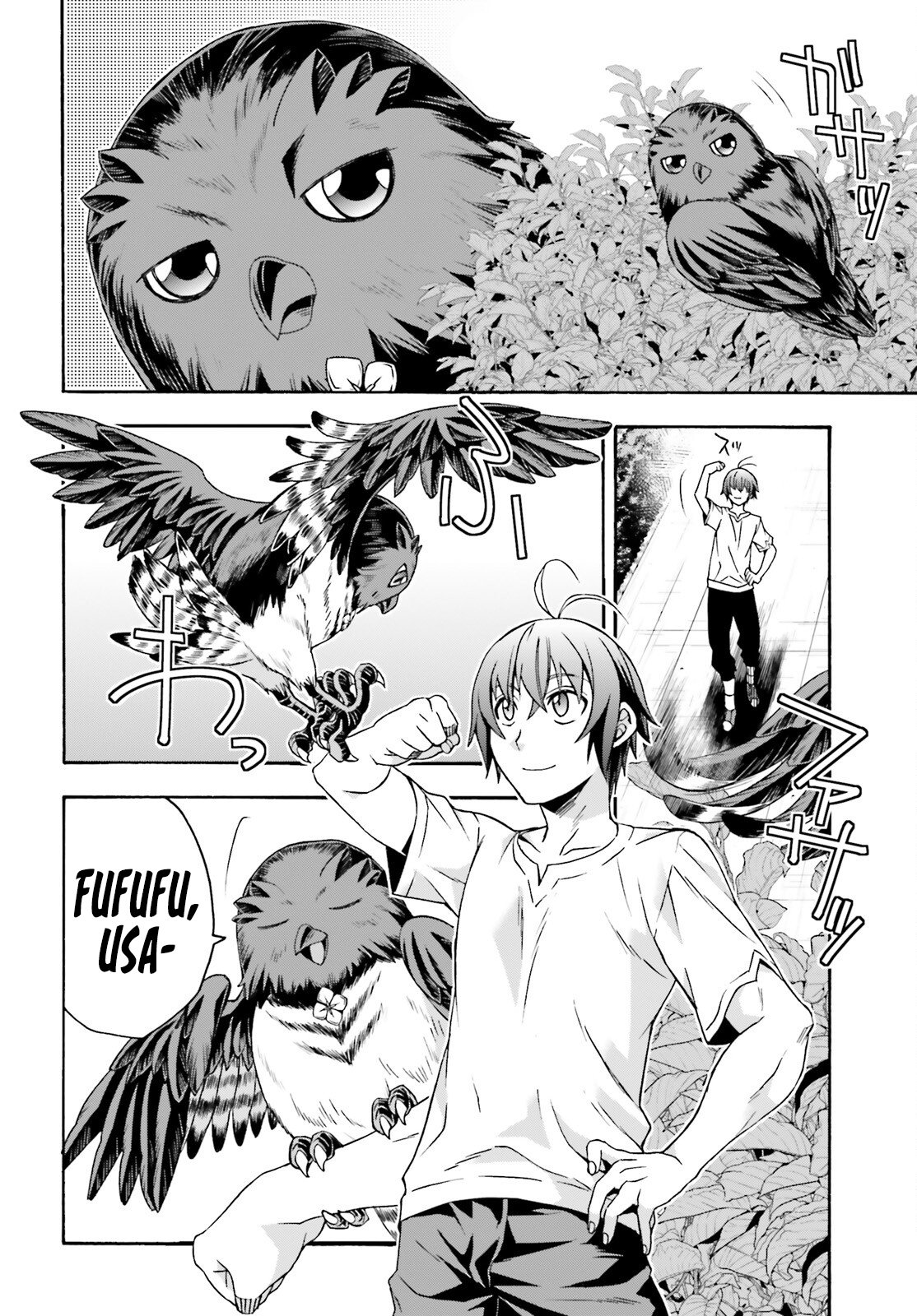 Page 43