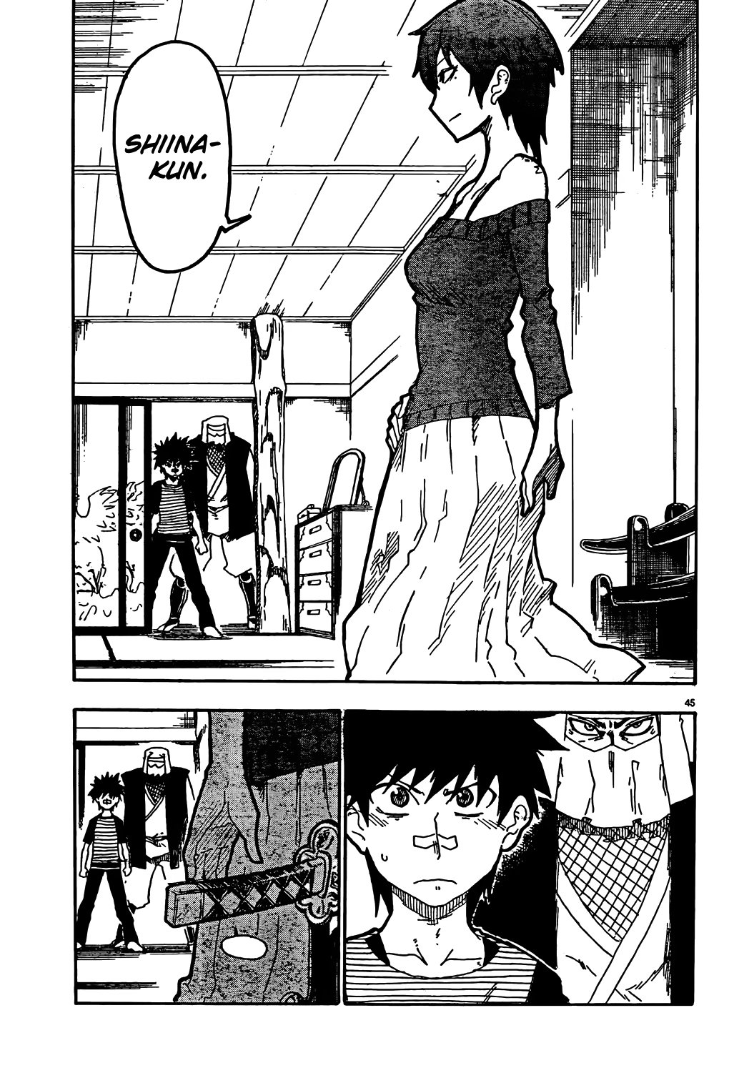 Page 45
