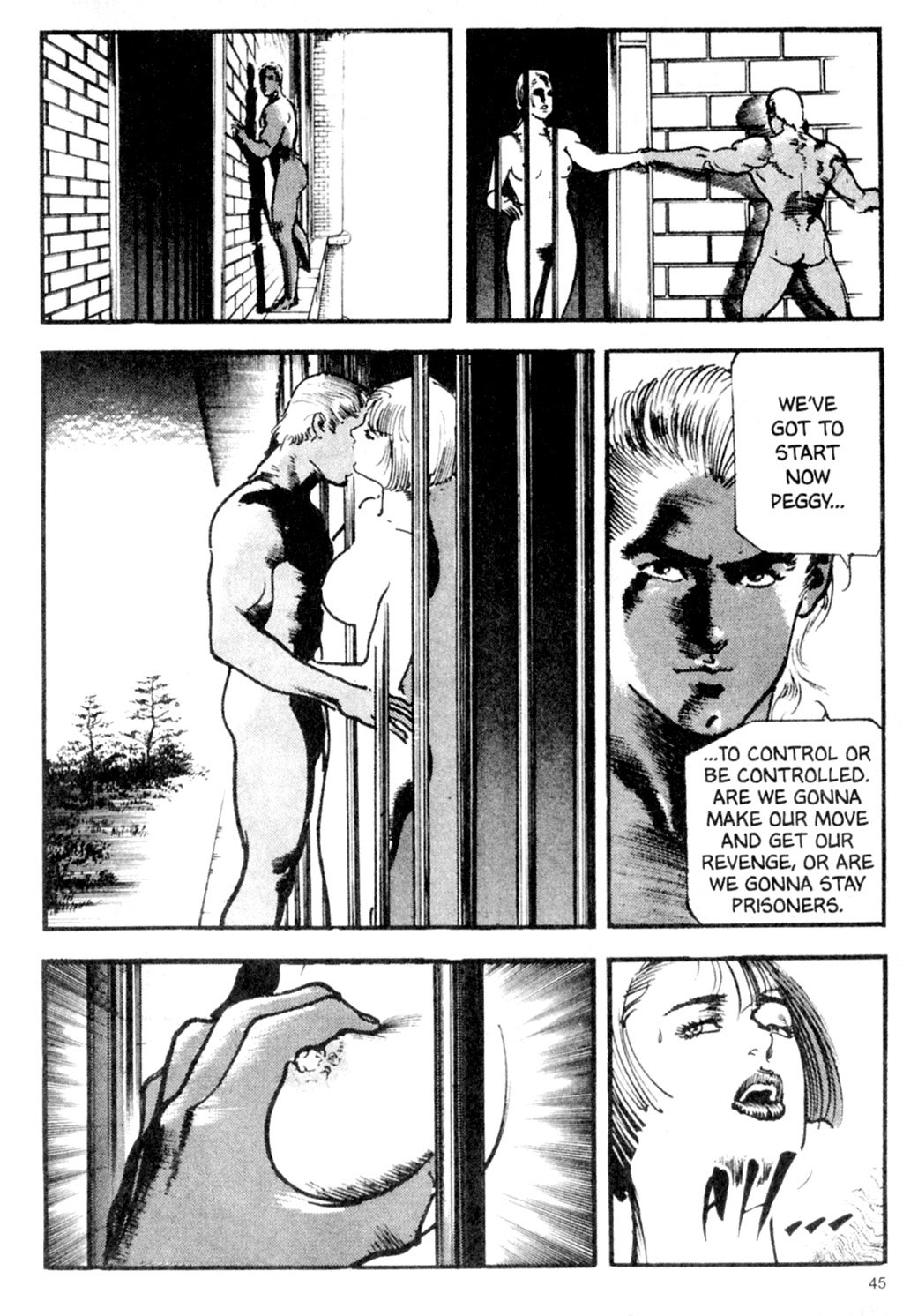 Page 45