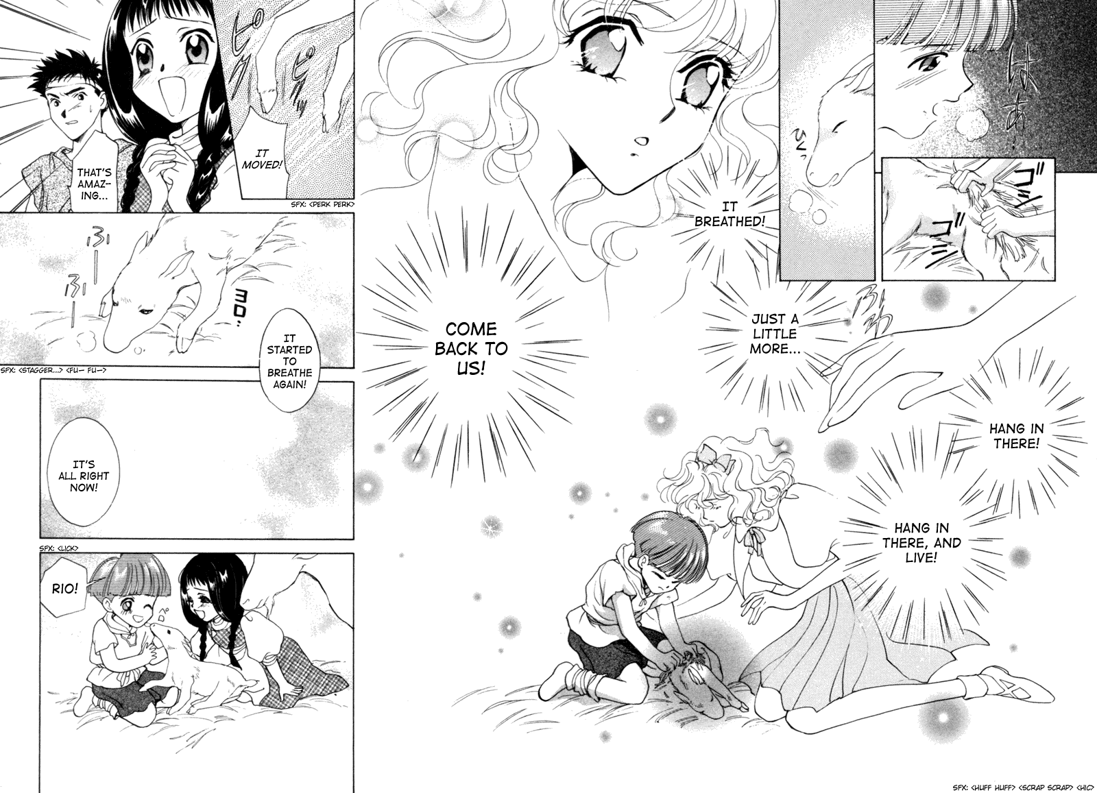 Page 51