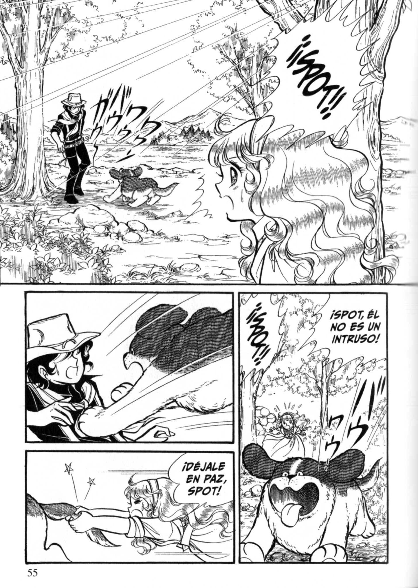 Page 55