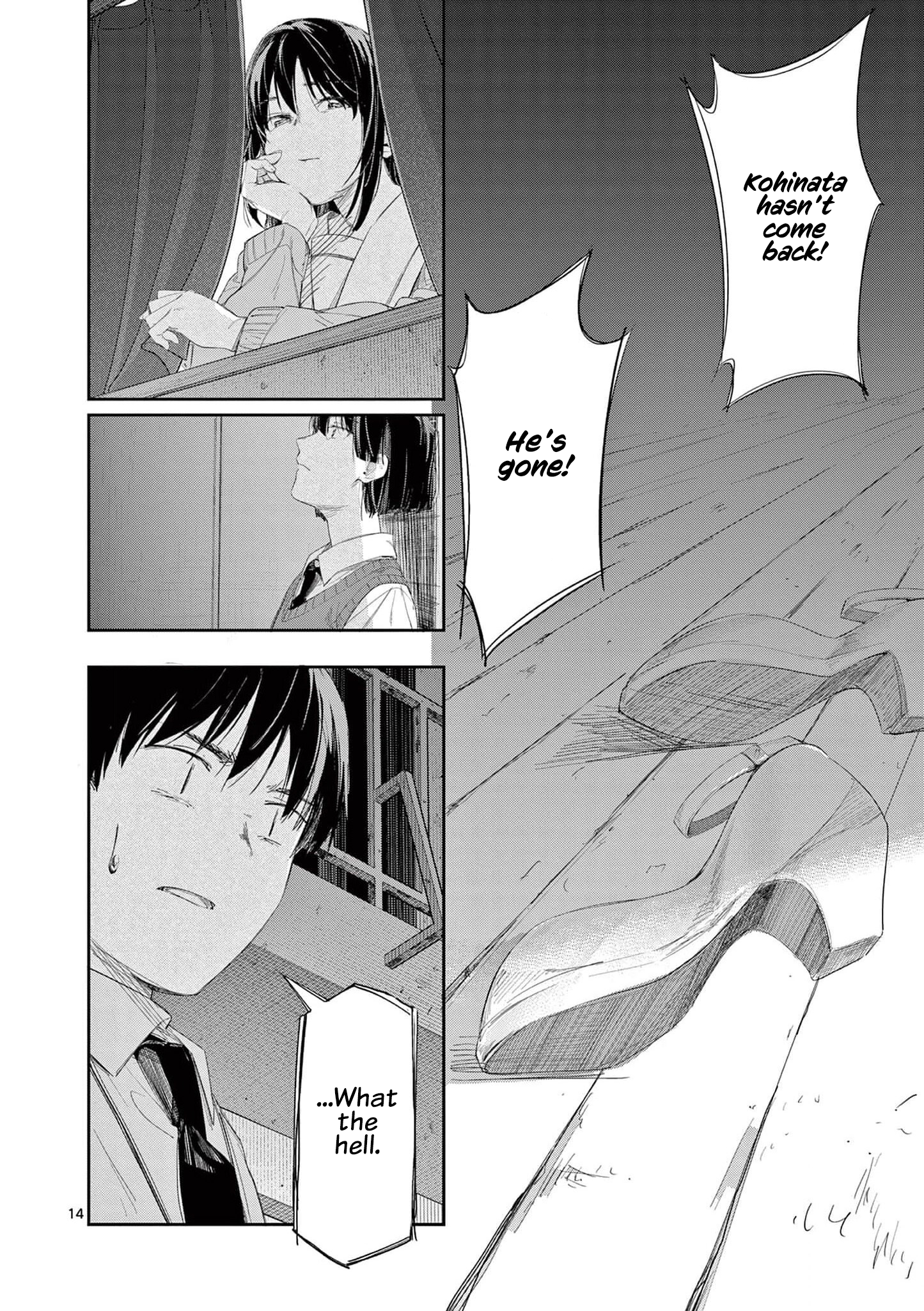 Page 14