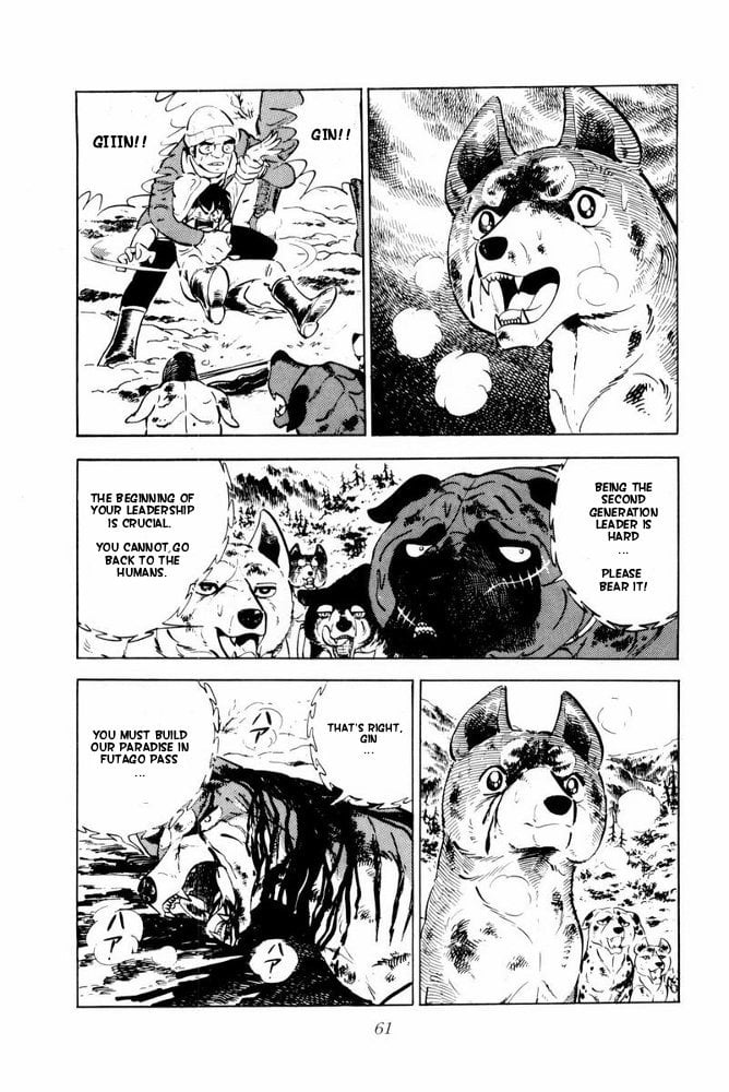 Page 61