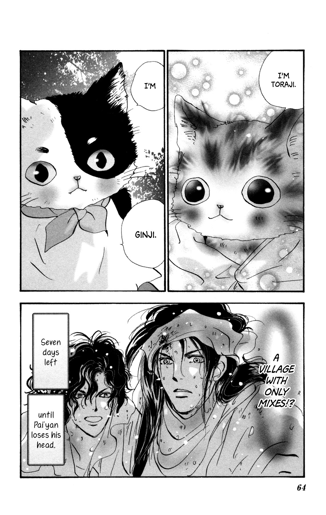 Page 63