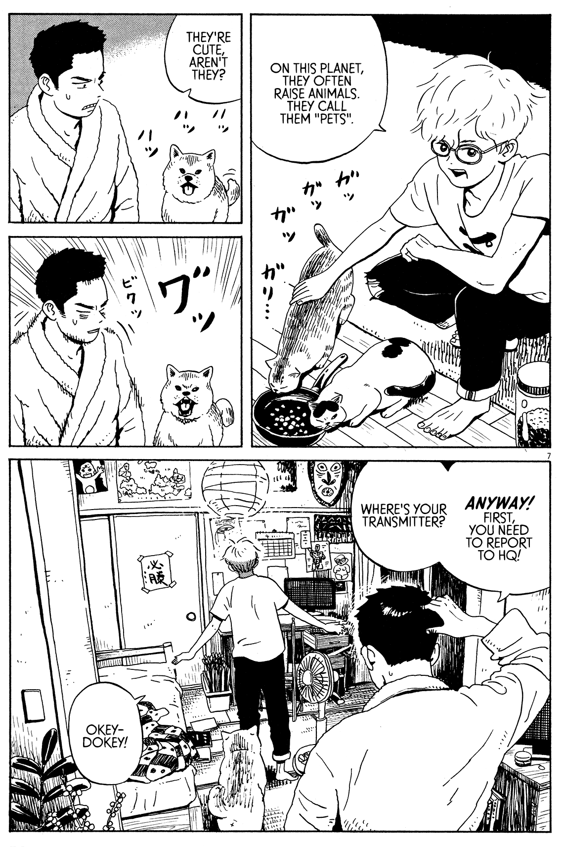 Page 7
