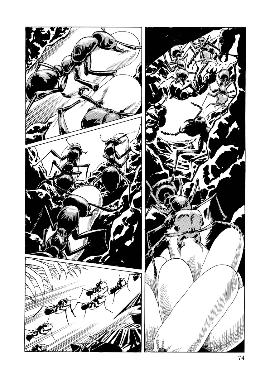 Page 73
