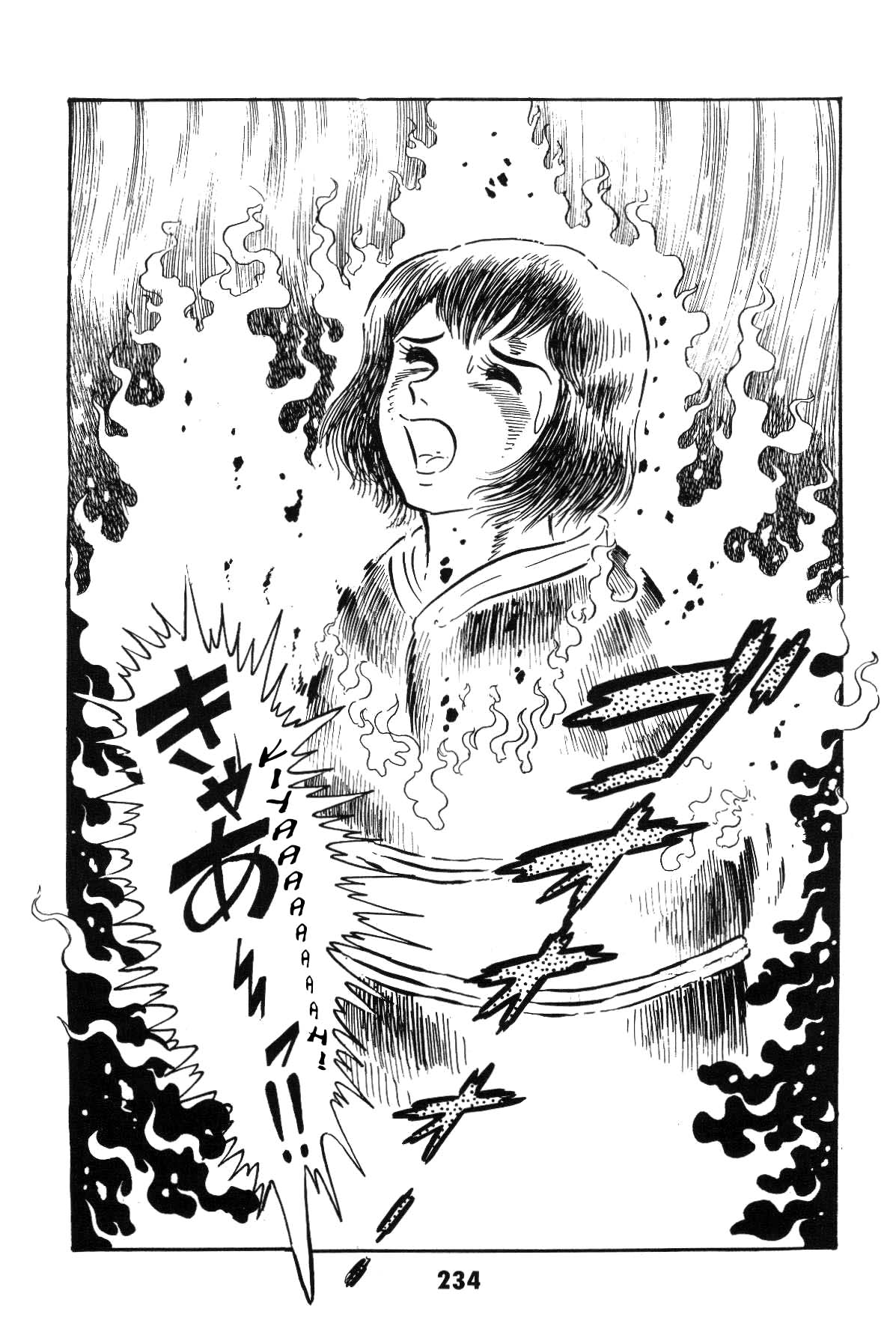 Page 234