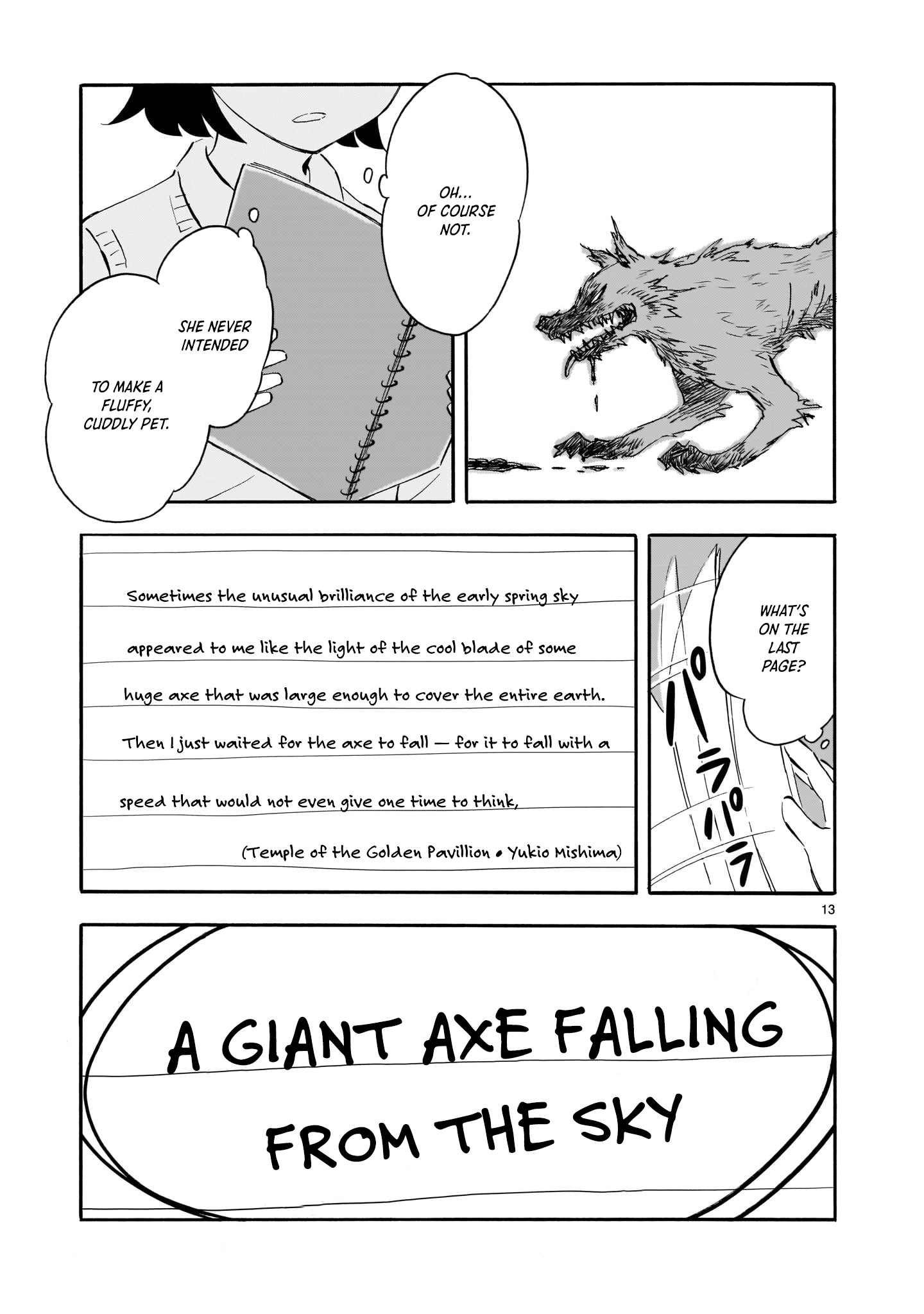Page 13