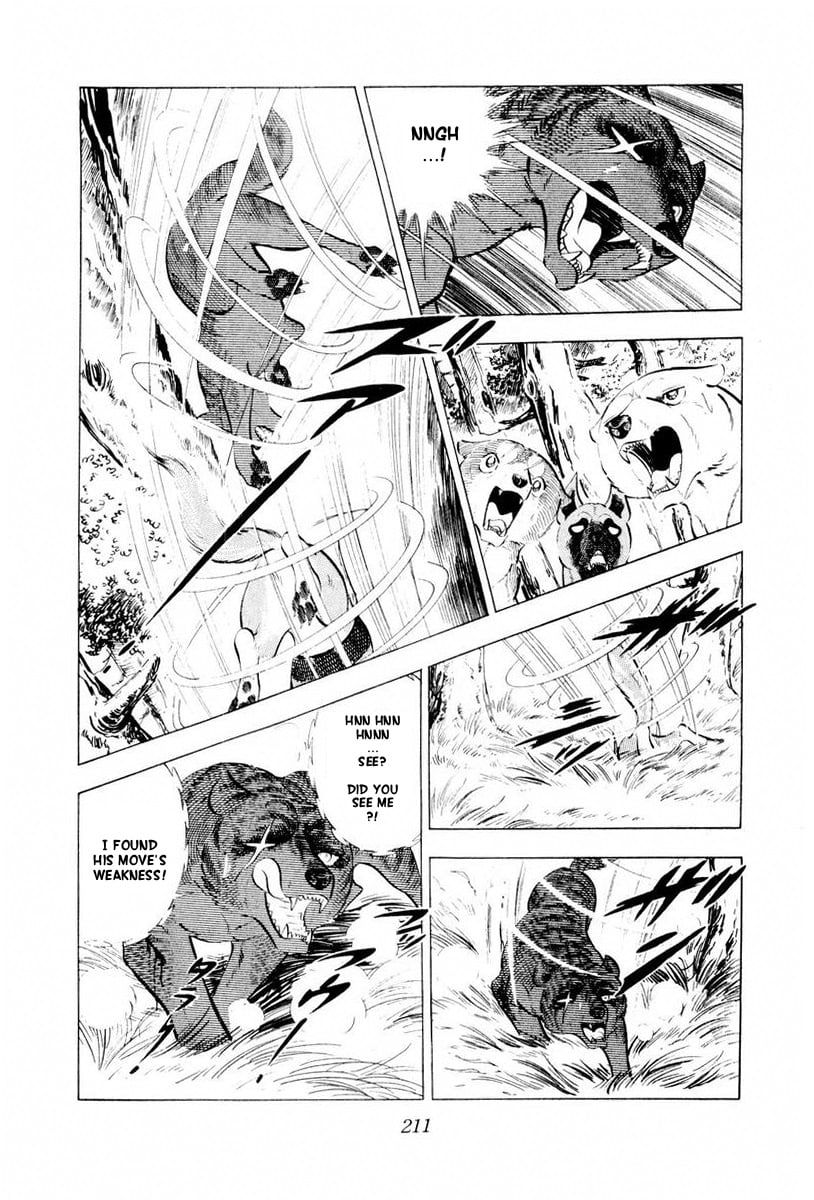 Page 97