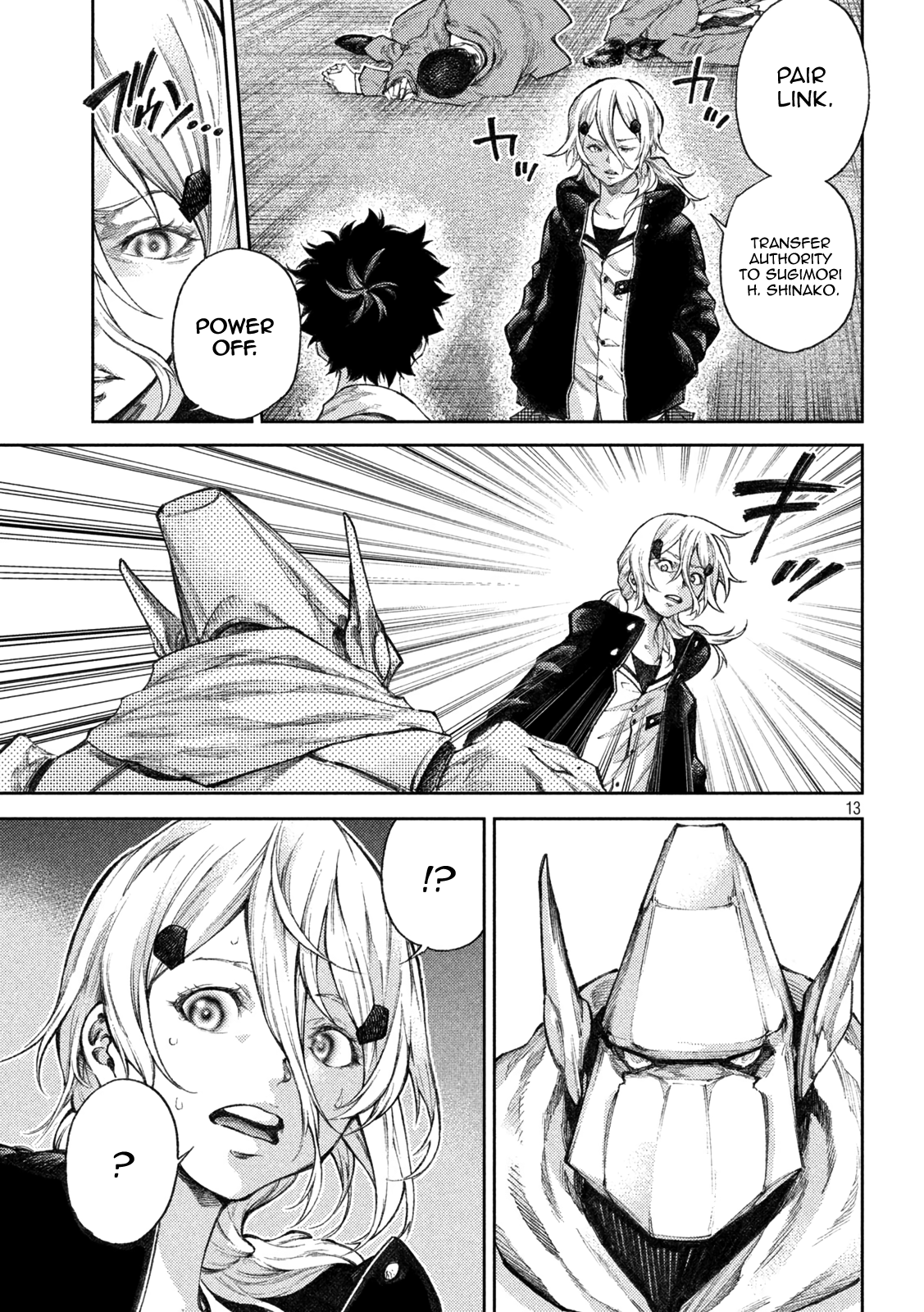 Page 13
