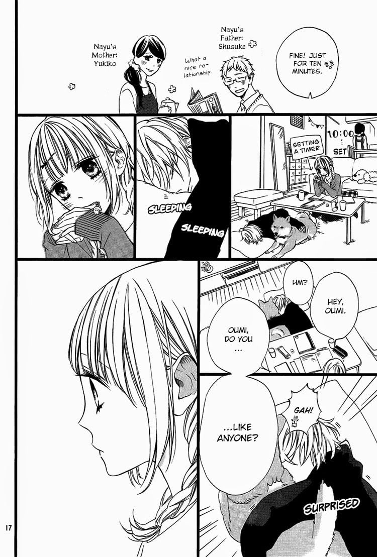 Page 17