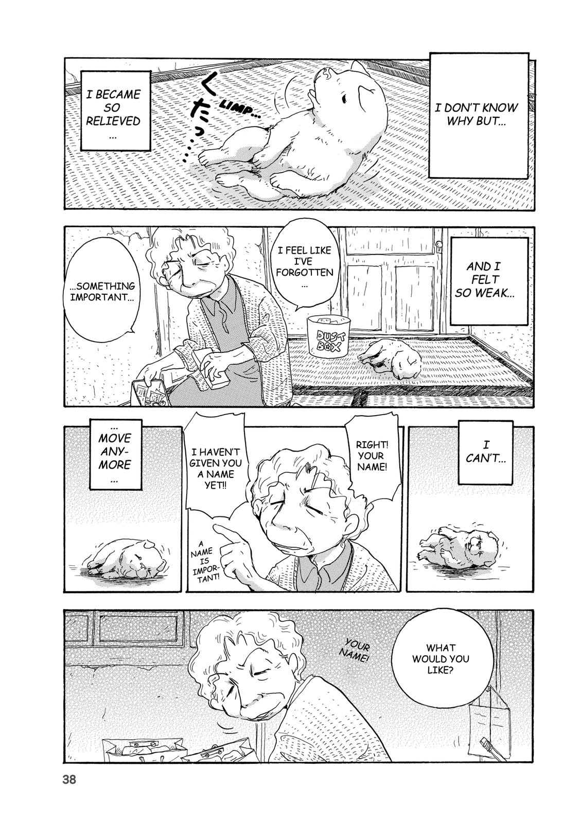 Page 37