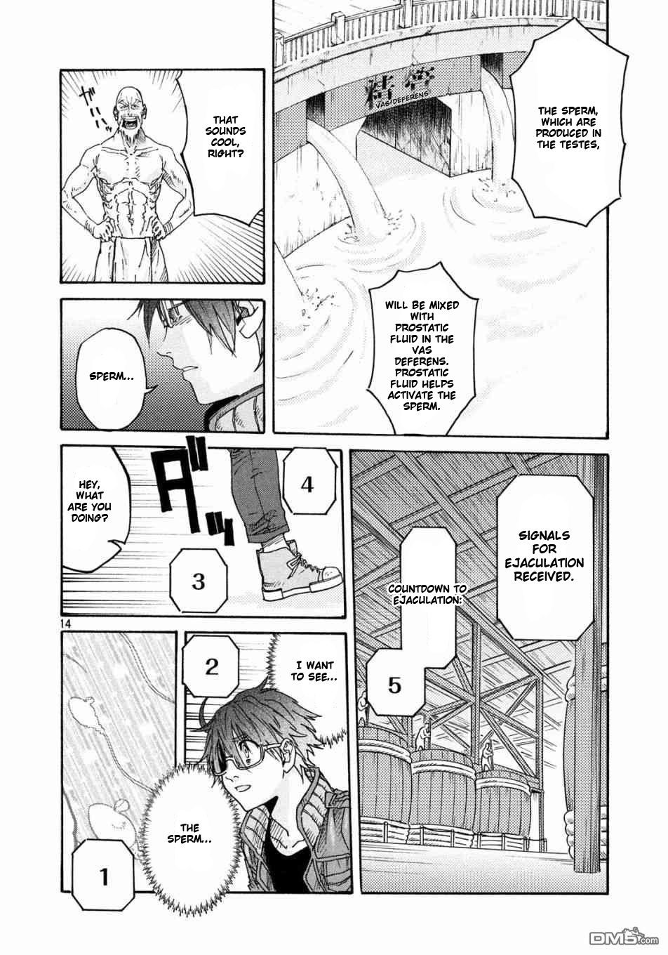 Page 14