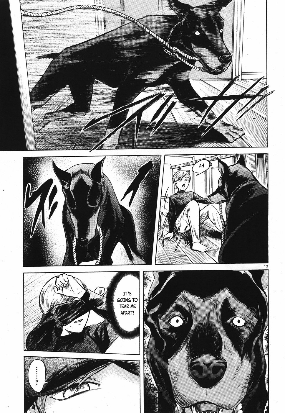 Page 13