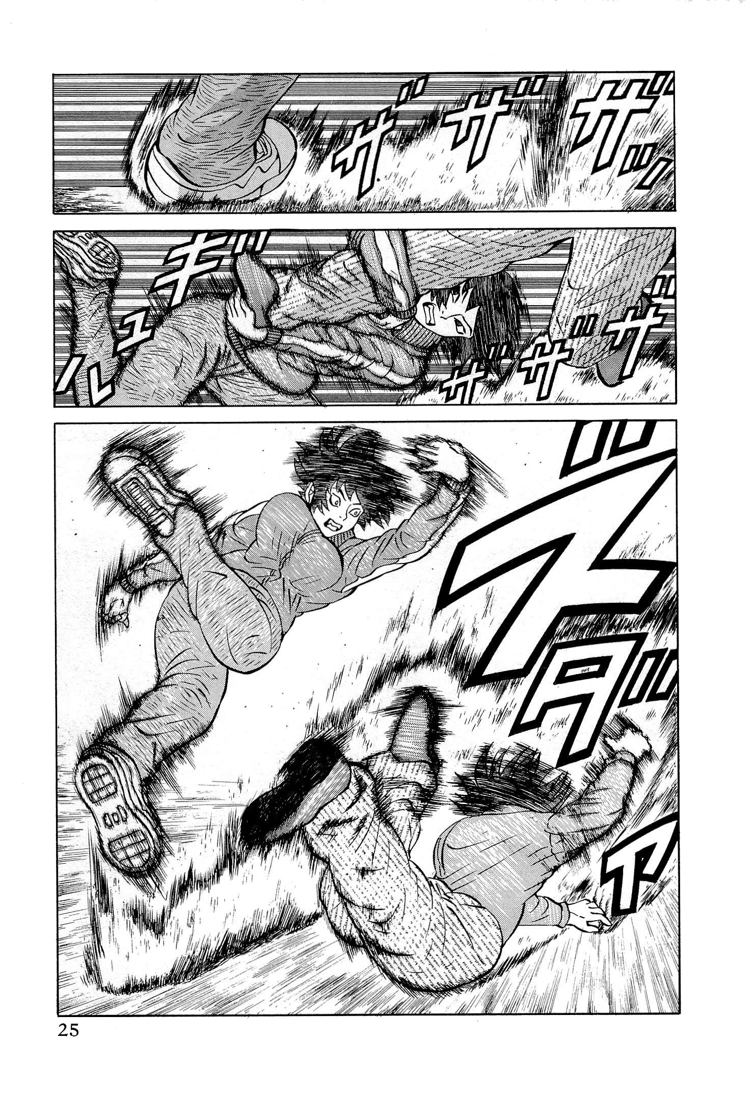 Page 25