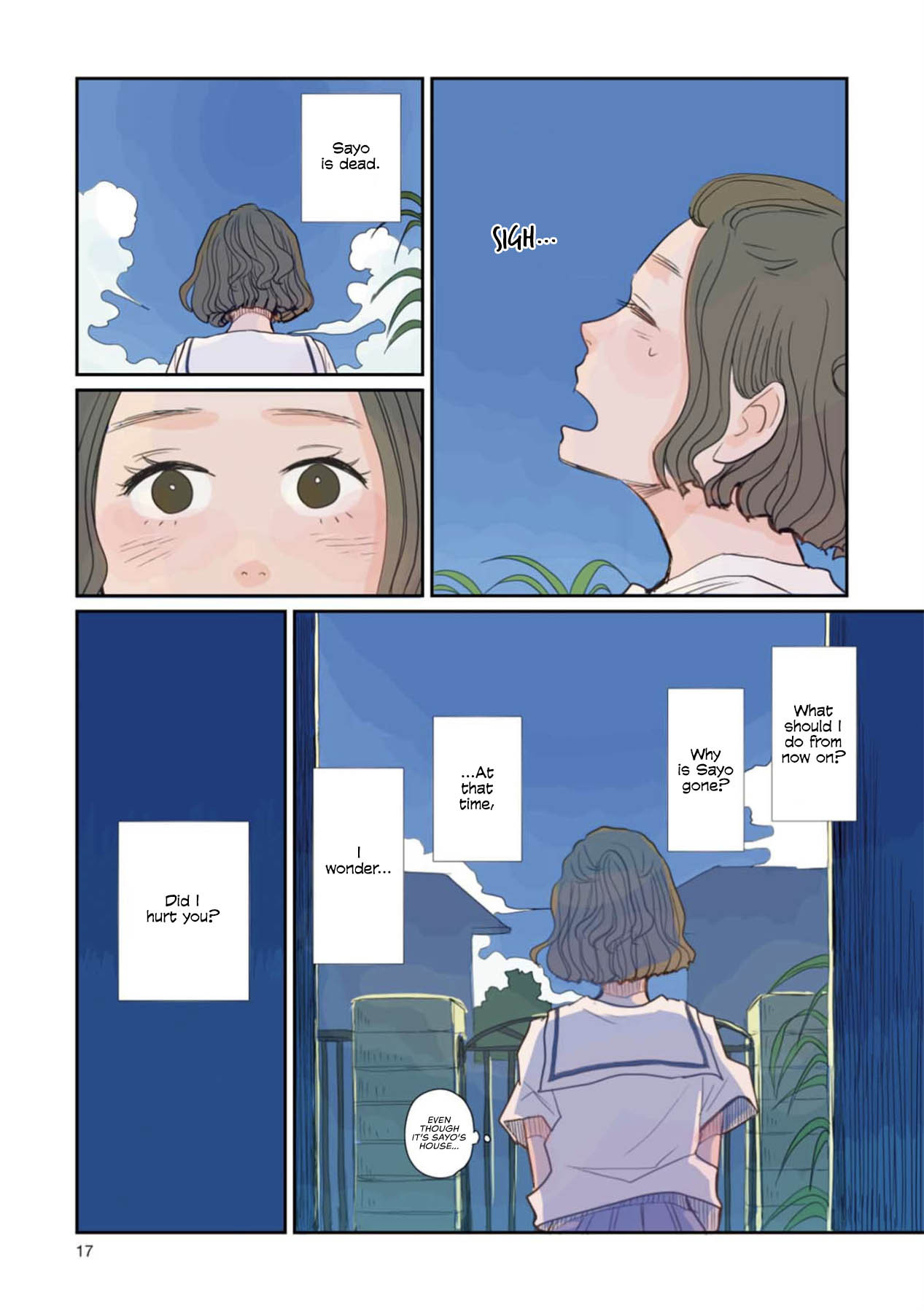 Page 17