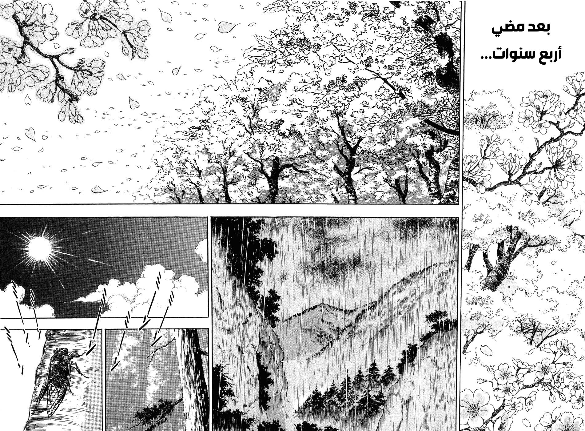 Page 223