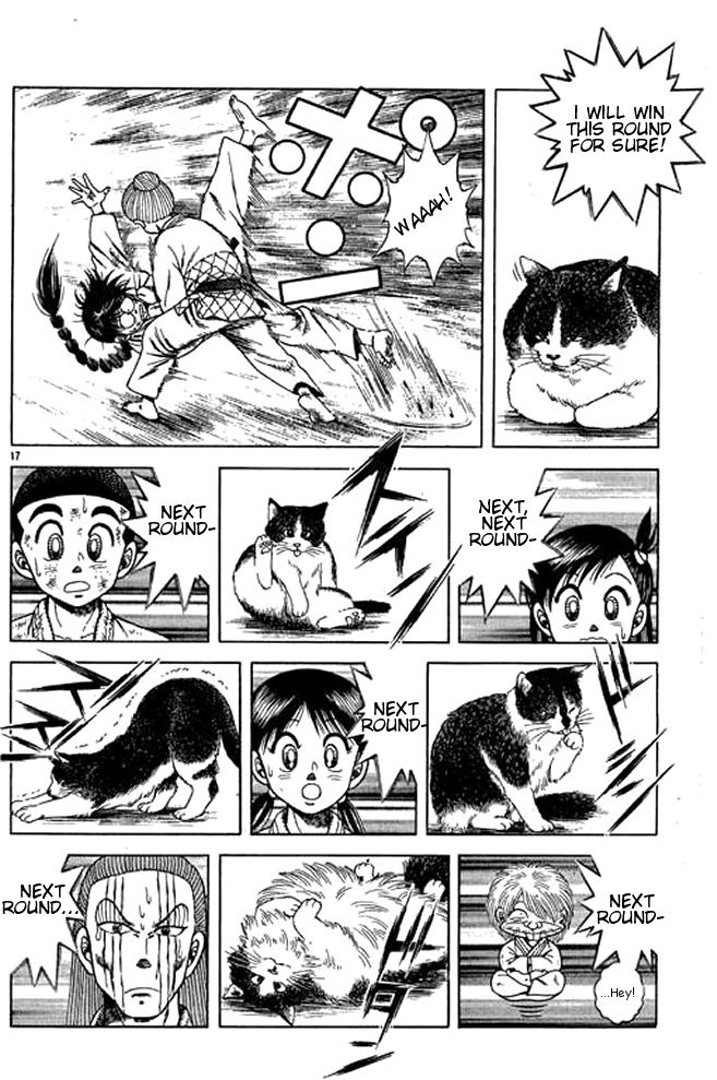 Page 17